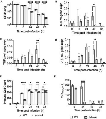 The DmsABC S-oxide reductase is an essential component of a novel, hypochlorite-inducible system of extracellular stress defense in Haemophilus influenzae